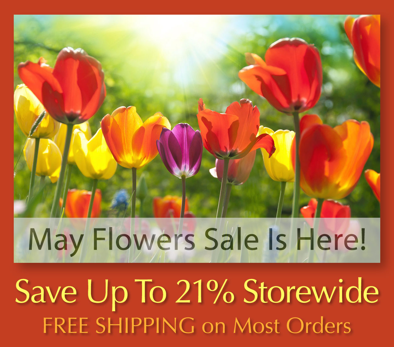 May Flowers Sale