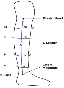 Compreflex Sizing Chart