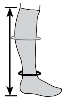 Sizing Image