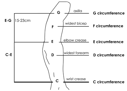 Sizing Image