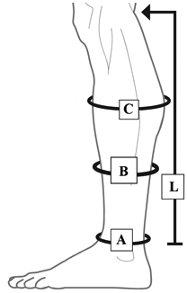 Circaid Juxtafit Size Chart