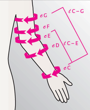 Juxta Fit Size Chart