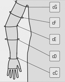 Sizing Image