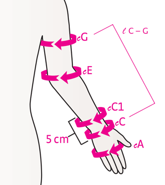 Medi Harmony Sleeve Size Chart